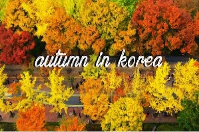 Chìm đắm trong thiên đường mùa thu lãng mạn tại Hàn Quốc