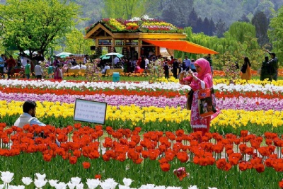 Vườn hoa tulip lớn nhất Châu Á lần đầu tiên đóng cửa kể từ khi khai trương